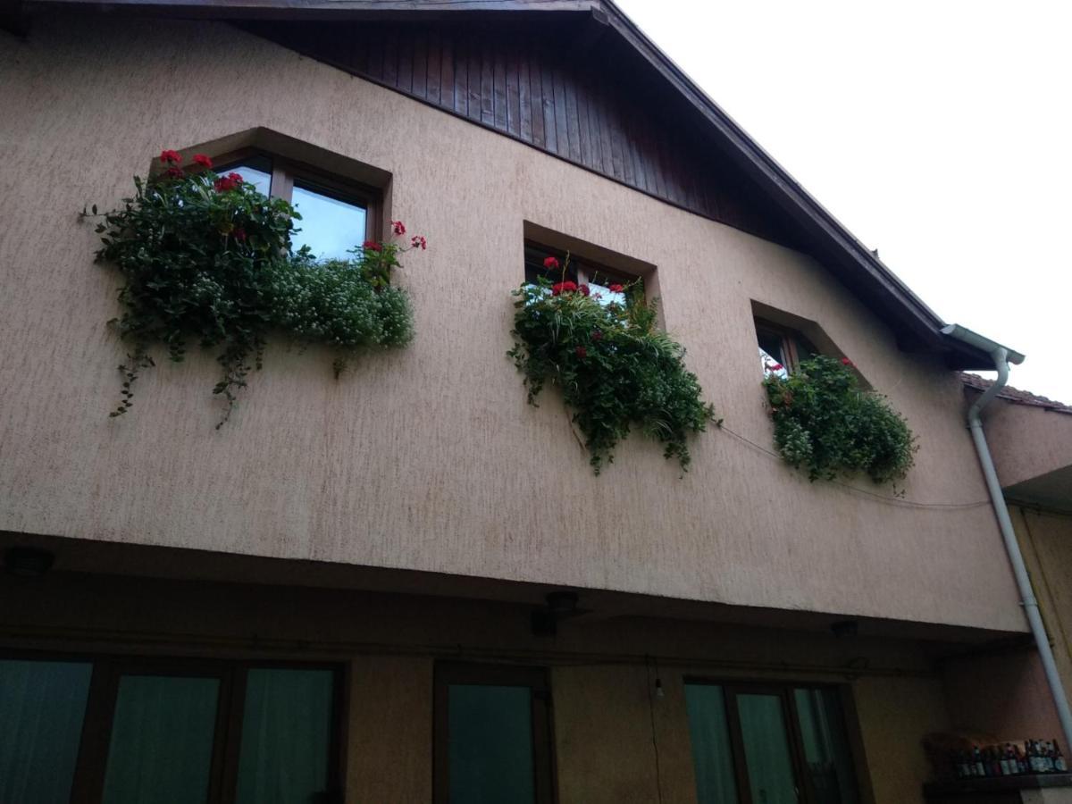 Appartamento Casa Charlot Braşov Esterno foto