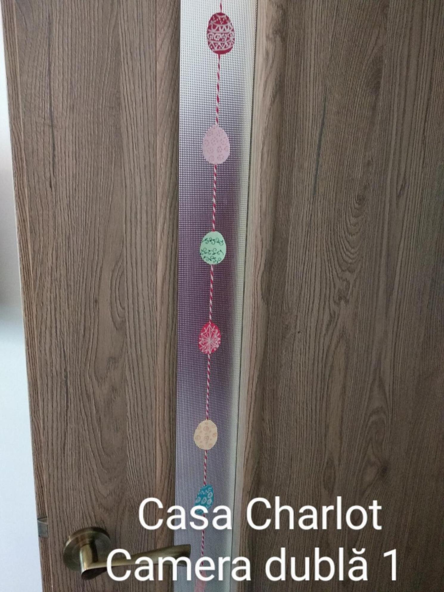 Appartamento Casa Charlot Braşov Esterno foto